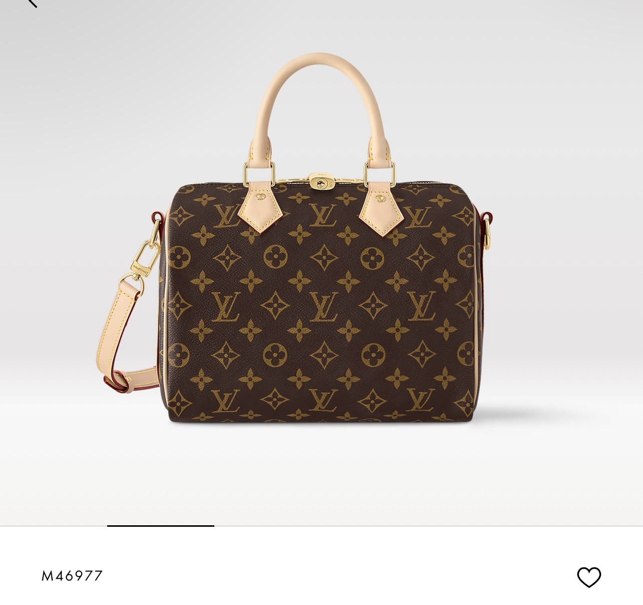 LV speedy 

#LTKWorkwear #LTKBeauty #LTKItBag