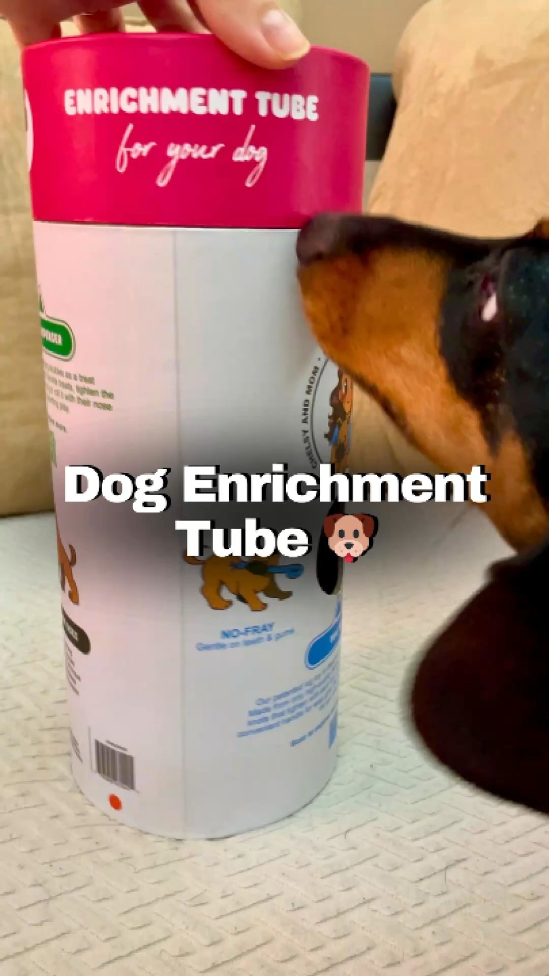My mini dachshund, Gretta, is loving her Chelsea‘s toys 3 in 1 enrichment tube. The container is a neat treat dispenser and two fleece dog toys are found inside. My minis roll it around for hidden treats, one of their favorite things to do. Enrichment dog toy! #minidachshund 

#LTKActive #LTKPets #LTKHome
