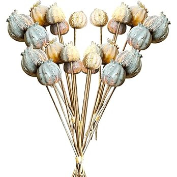 24 Pcs Artificial Poppy Fruit Ball 10 Artificial Flowers Fake Fruit Branch Poppy Fruit Decor for ... | Amazon (US)