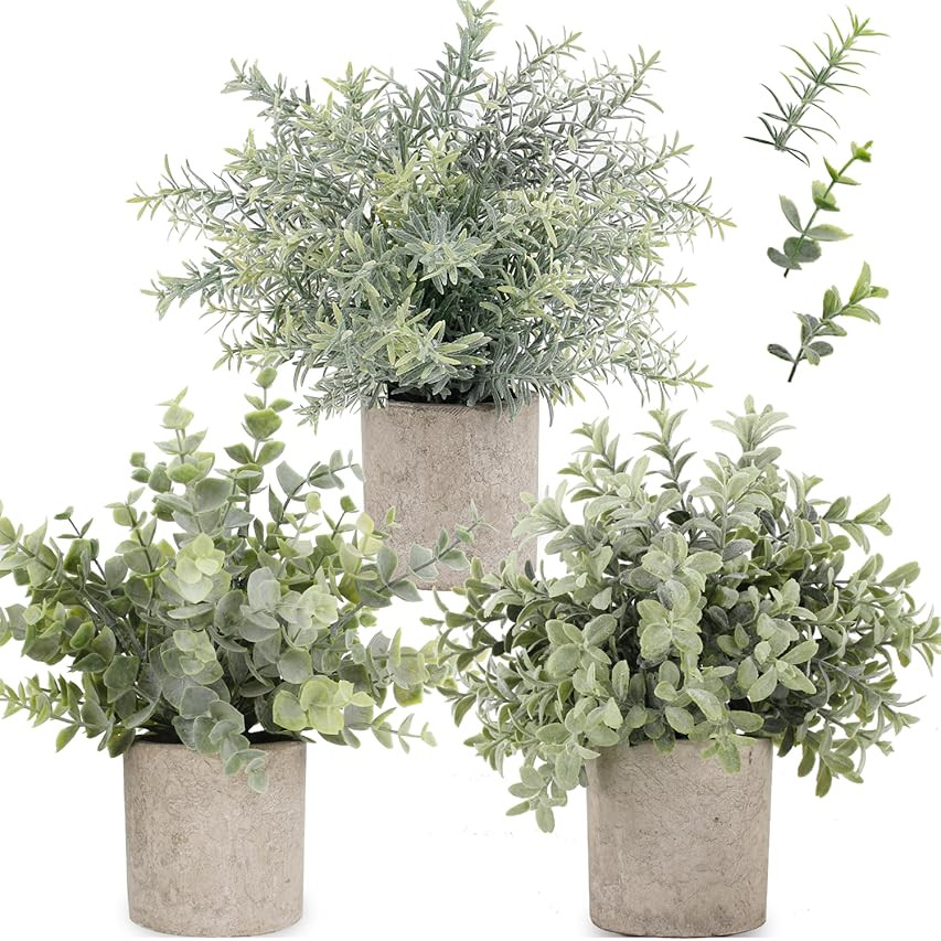 Der Rose 3 Pack Mini Potted Fake Plants Artificial Plastic Eucalyptus Plants for Home Office Desk Fa | Amazon (US)