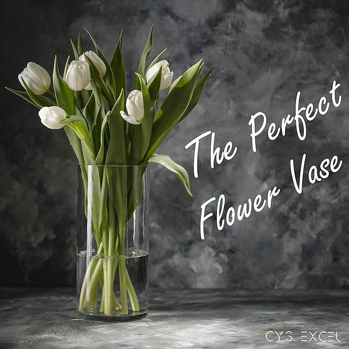CYS Excel Clear Glass Cylinder Vase (H:9" D:4") | Multiple Size Choices Glass Flower Vase Centerp... | Amazon (US)