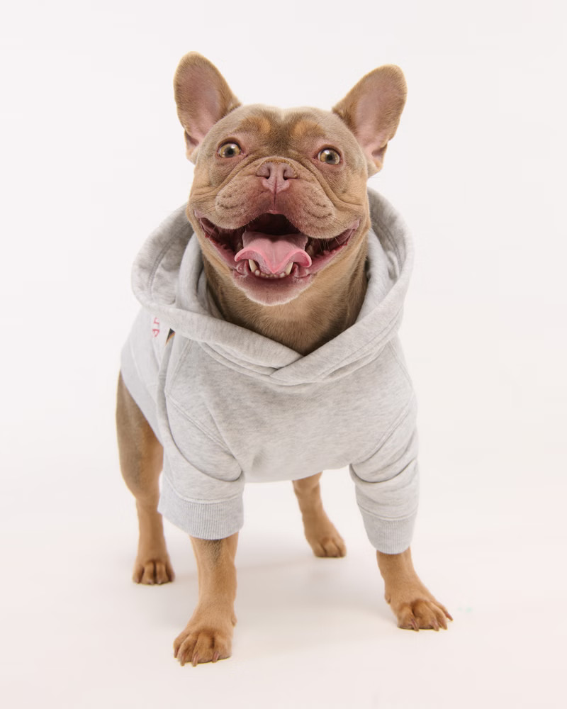 Kansas City Chiefs Pet Pupover | Abercrombie & Fitch (US)