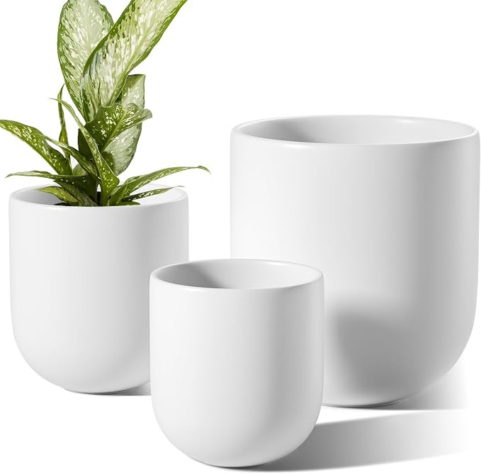 LE TAUCI 6+8+10 Inch Plant Pots Indoor, Ceramic Planters for Indoor Plants, Flower Pots with Drai... | Amazon (US)