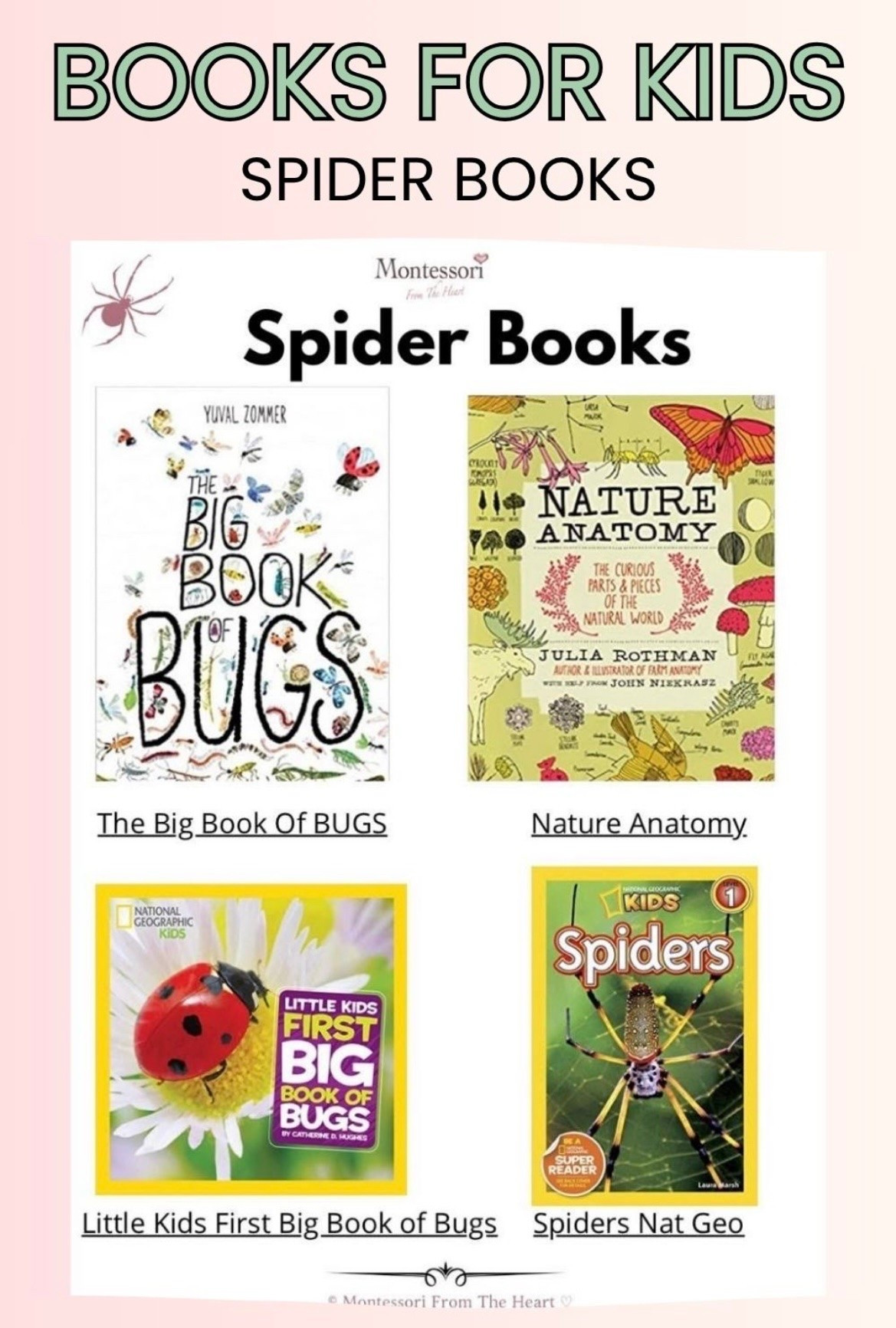 Spider Books for Kids

#LTKhome #LTKkids #LTKfamily