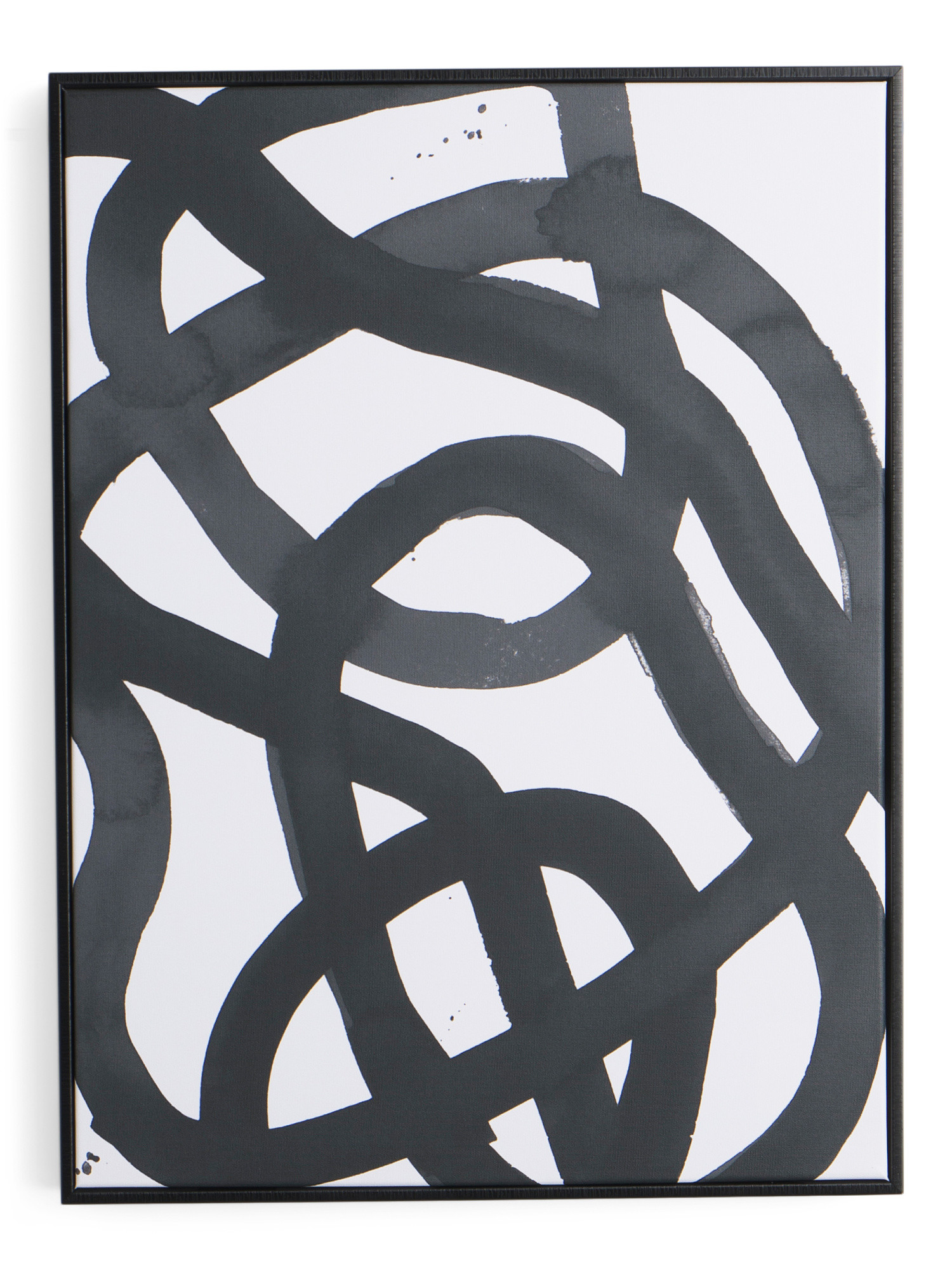 18x24 Saga Black Framed Canvas Wall Art | TJ Maxx