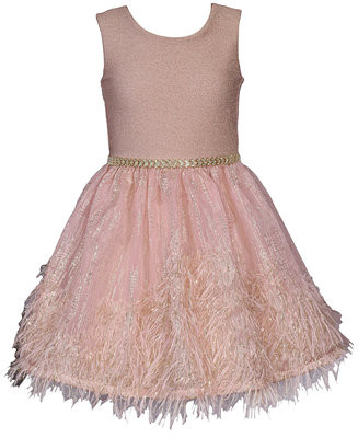 Bonnie Jean Little Girls Sparkle Knit to Feather Border Party Dress - Macy's | Macy's