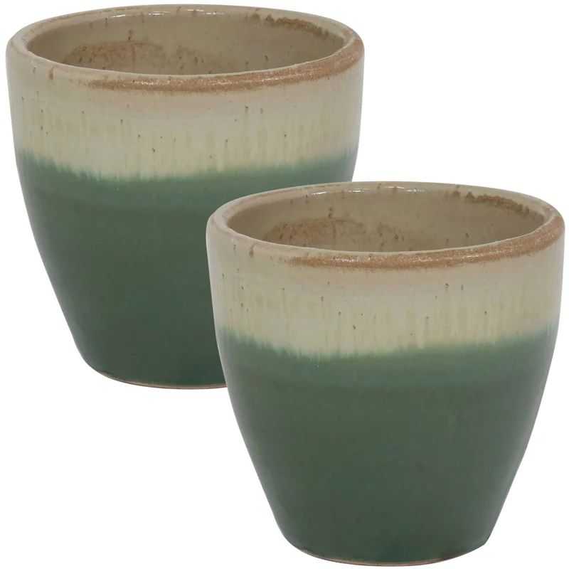 Francine Ceramic Pot Planter | Wayfair North America