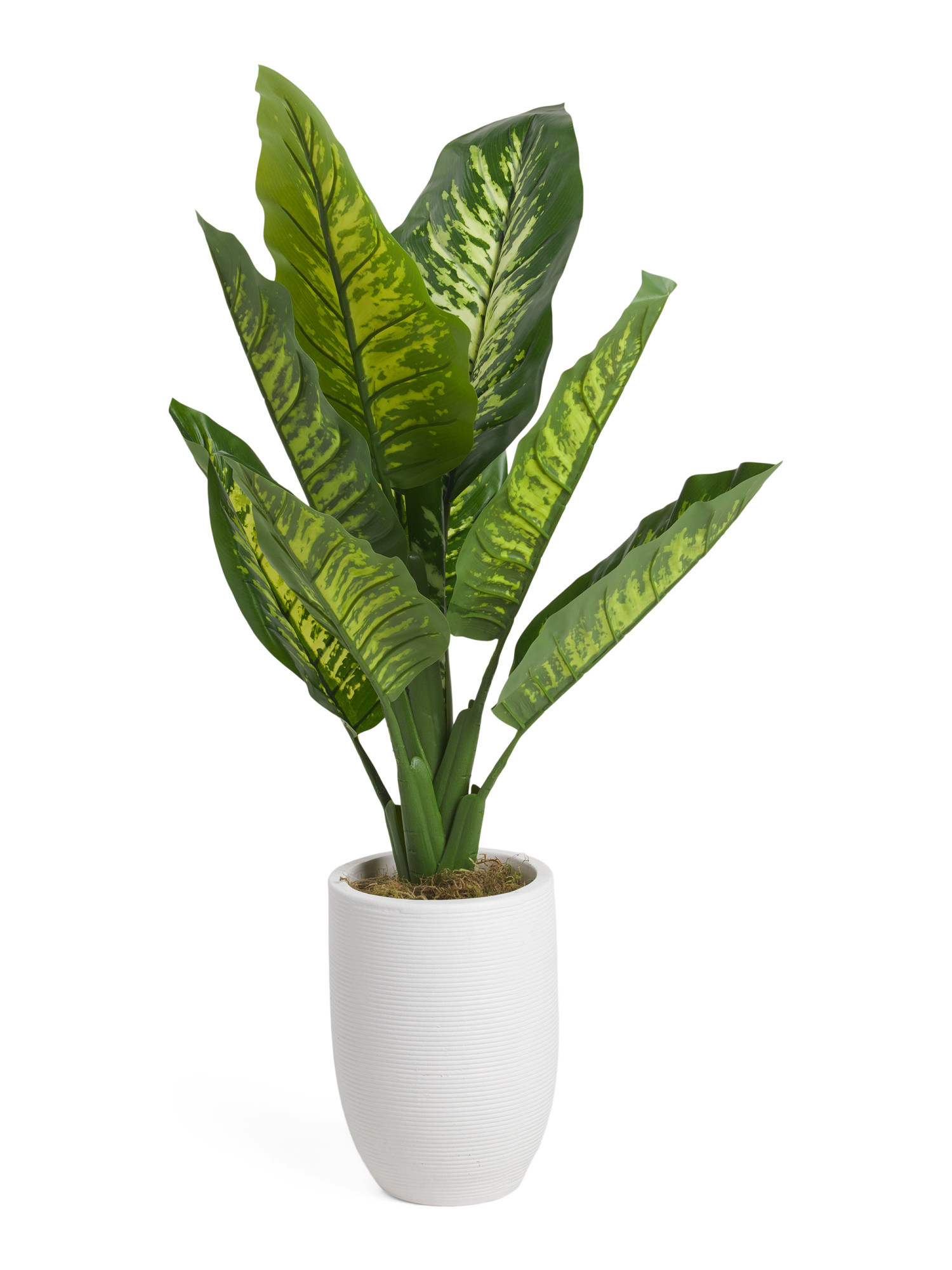 40in Dieffen Plant In Line Pot | Home Essentials | Marshalls | Marshalls