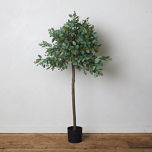 Faux Eucalyptus Topiary Plant | Terrain