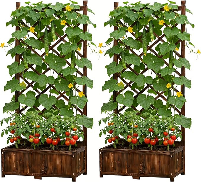 Anraja Raised Garden Bed with Trellis Wooden Planter Box Set of 2 Outdoor Wood Privacy Screen for... | Amazon (US)