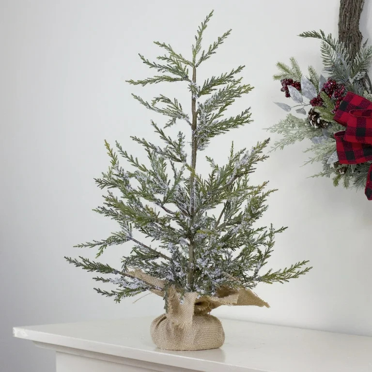 Northlight Real Touch™️ Potted Medium Iced Cedar Artificial Christmas Tree - 24" - Unlit | Walmart (US)