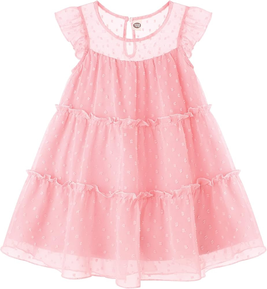 Toddler Baby Girl Dresses Ruffle Sleeve Swiss Dot Mesh A Line Dress for 1-5T Girls | Amazon (US)