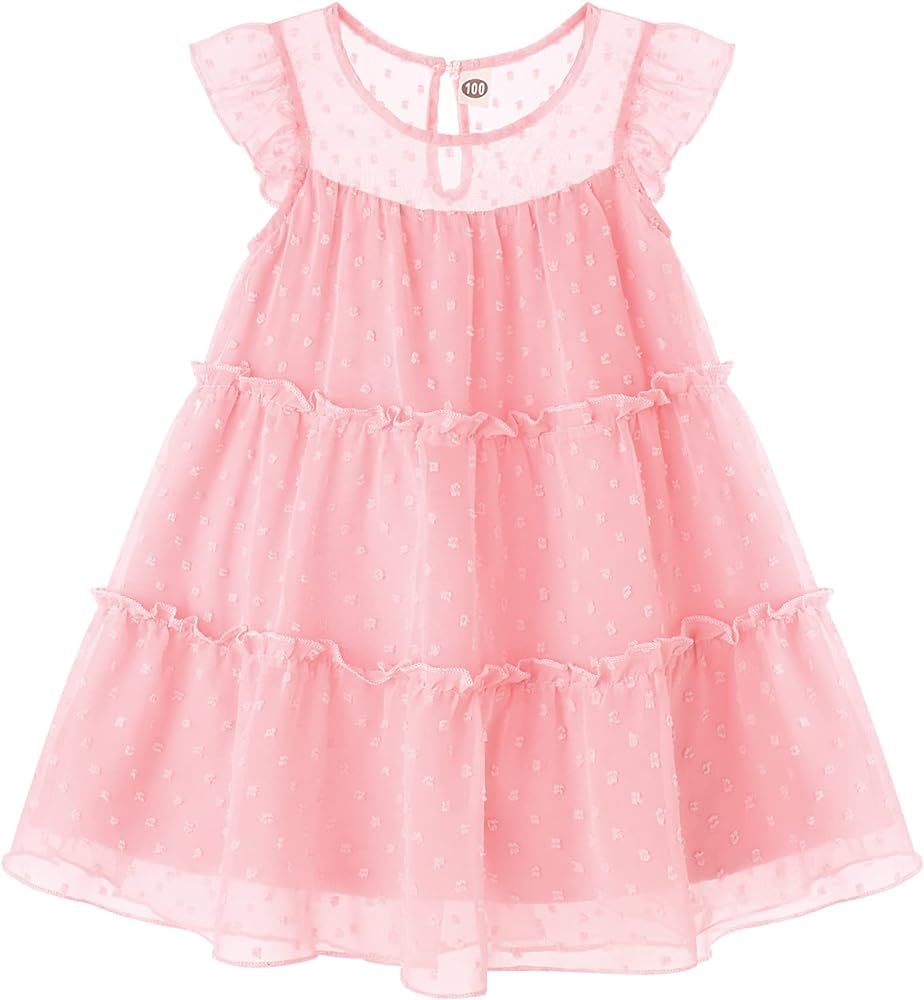 Toddler Baby Girl Dresses Ruffle Sleeve Swiss Dot Mesh A Line Dress for 1-5T Girls | Amazon (US)