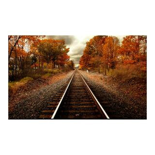 Yosemite Home Decor 36 in x 60 in. "Autumn Rails" Tempered Glass Wall Art AR30130427 - ... | The Home Depot