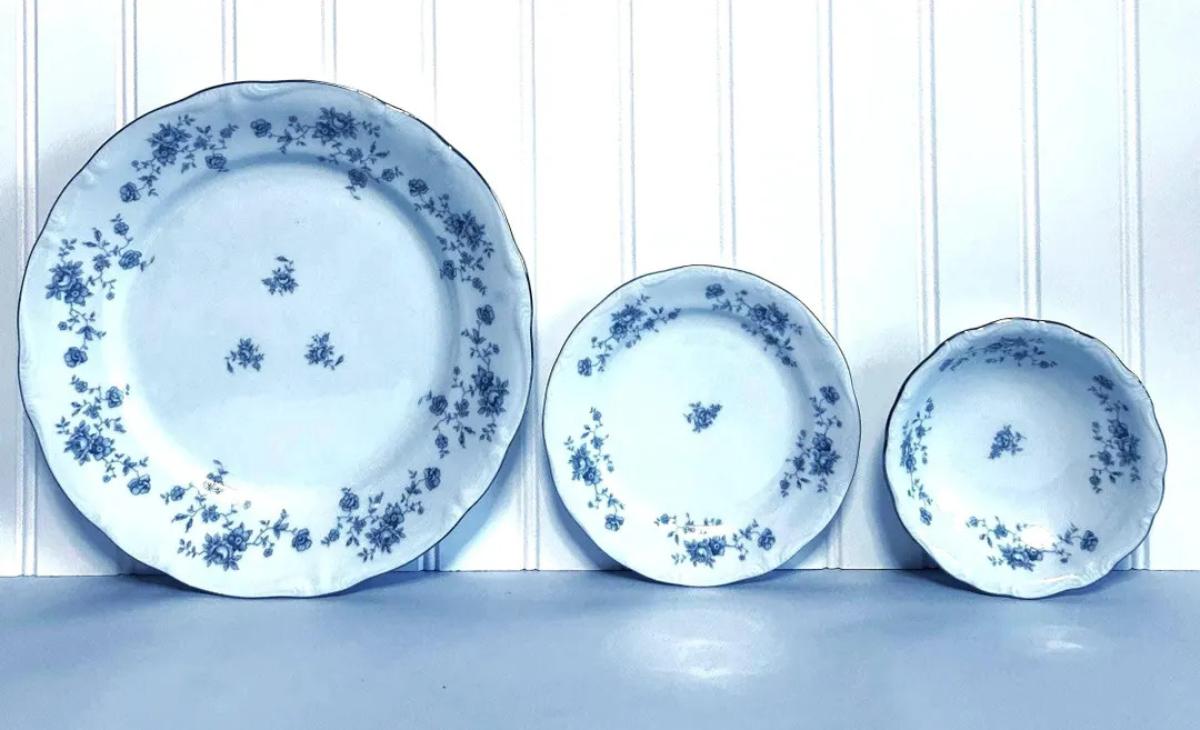 Vintage Porcelain Blue Floral Dishes by Johann Haviland Bavaria Germany ~ 12 pcs. | Etsy (Global)