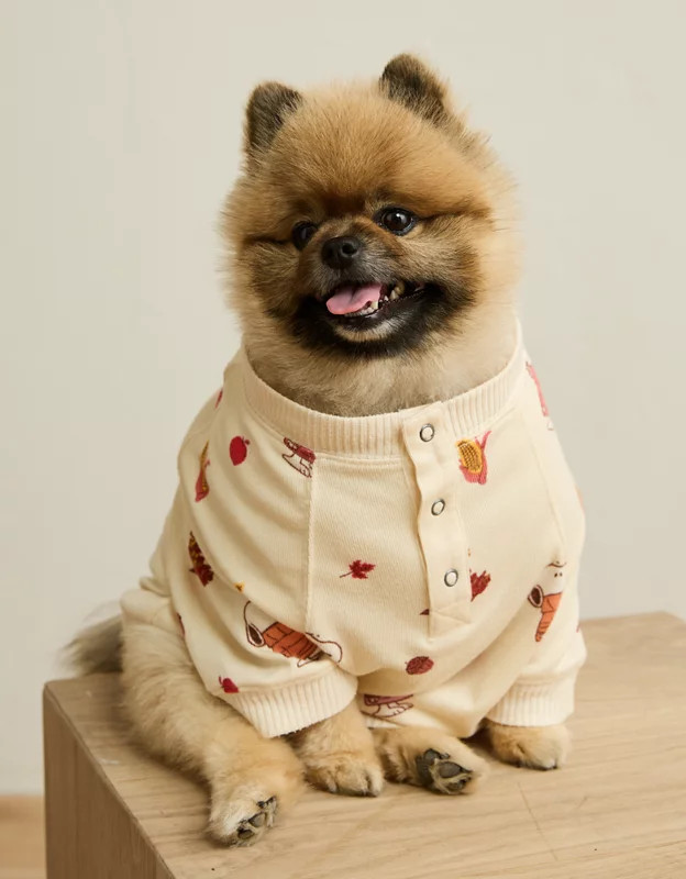 ABO Luxe Plush Snoopy PJ Top | American Eagle Outfitters (US & CA)