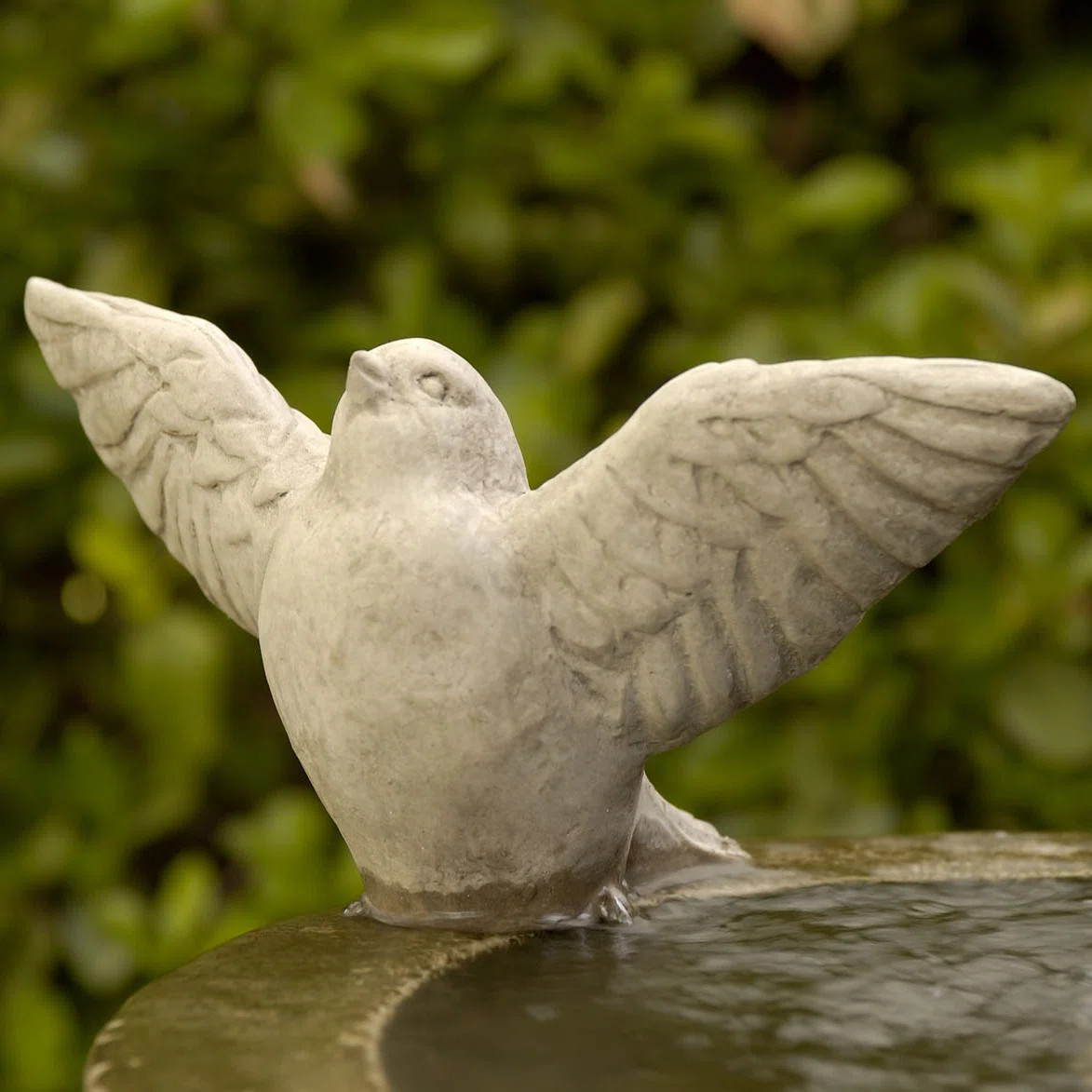 Campania International Flutter Statue & Reviews | Wayfair | Wayfair North America