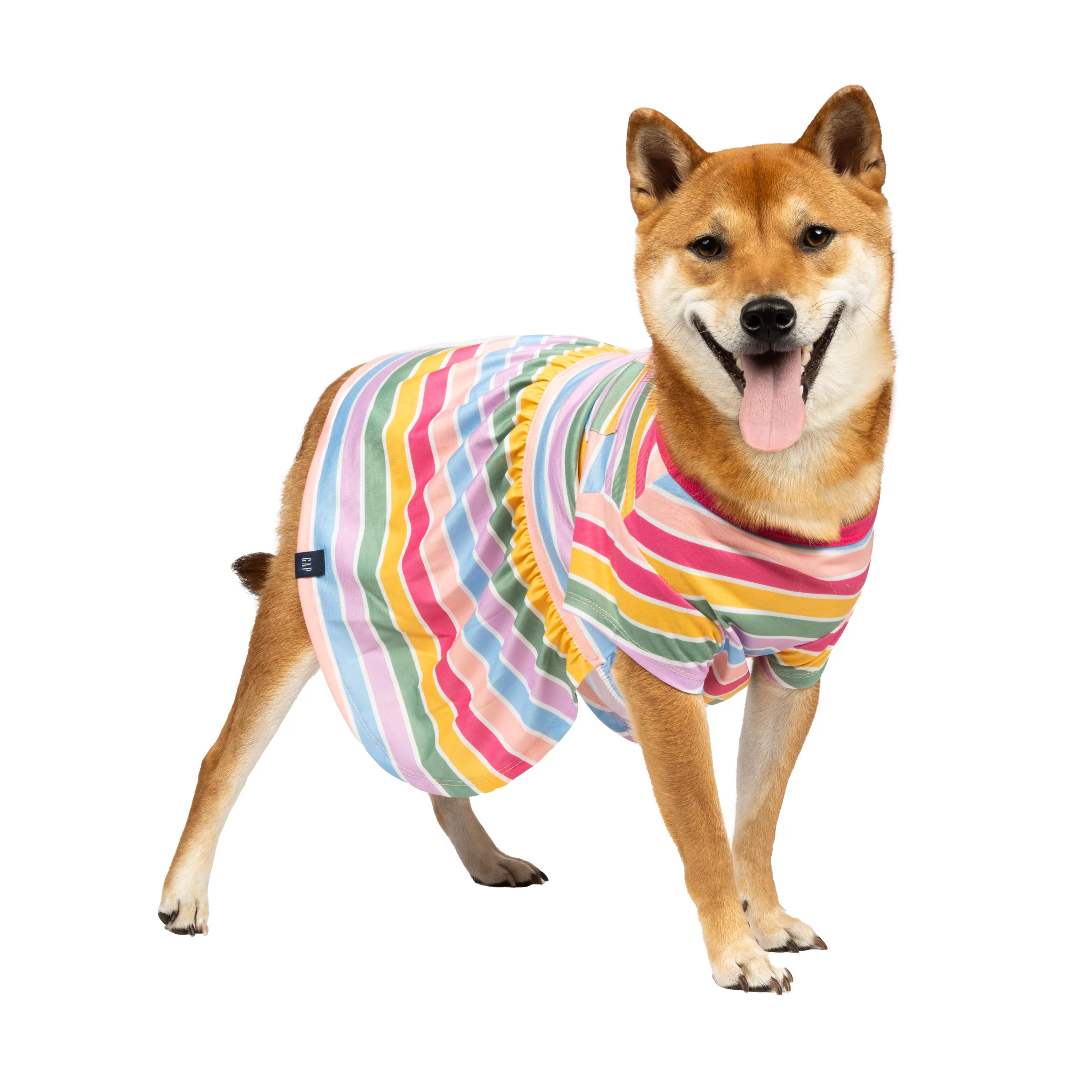 Gap Pet, Dog Clothes, Striped Gap Pet Dress, Multi-Color, L | Walmart (US)