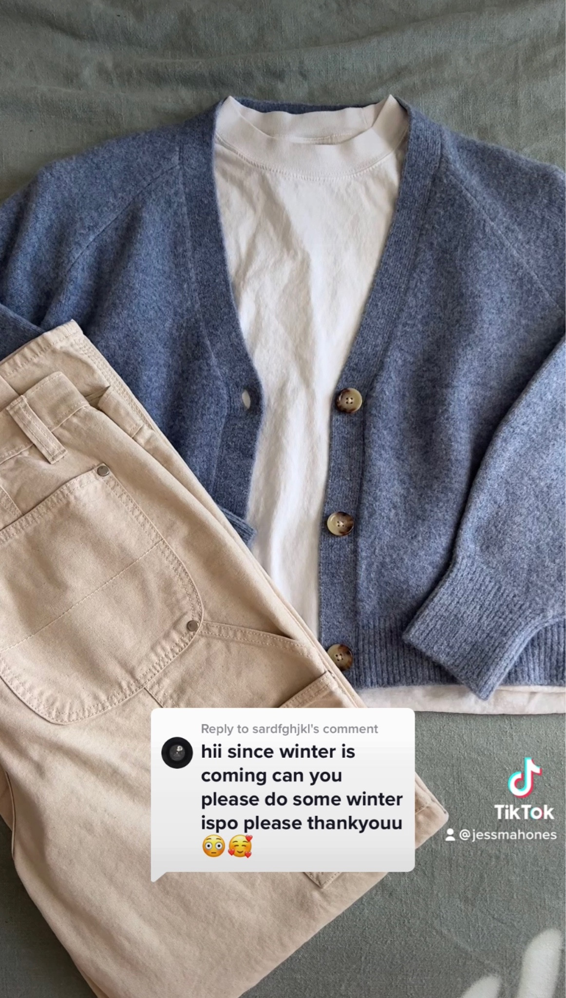 4th fit from winter tiktok! 
MY SIZES:
• tshirt: M
• cardigan: S
• pants: mens 32x30

#LTKSeasonal #LTKunder100 #LTKHoliday