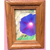 Vintage Small Wood Picture Frame | Etsy (US)