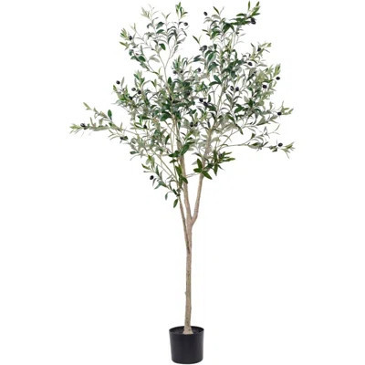 Artificial Olive Tree 6FT Tall Faux Silk Plant Artificial Tree In Potted Oliver Branch Leaves And Fruits For Modern Home Decor Indoor | Wayfair North America
