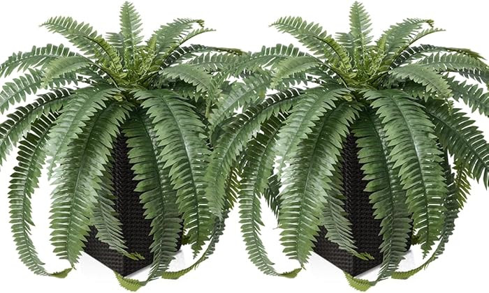 48" Boston Ferns Artificial Outdoor Plants - 33 Fronds UV Resistant Faux Greenery with Taper Plan... | Amazon (US)
