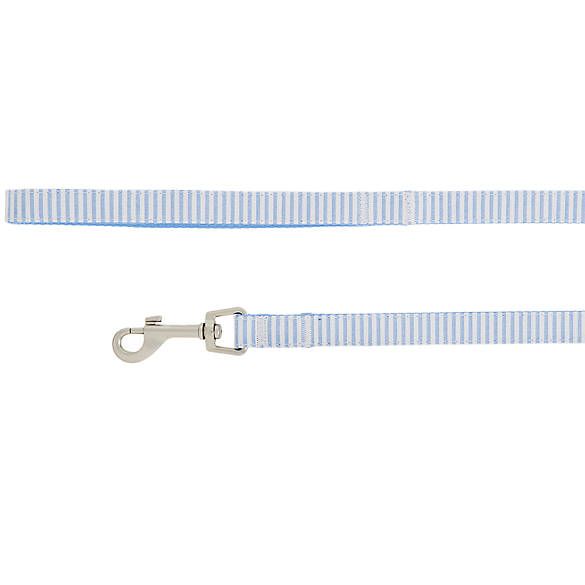 Top Paw® Blue Stripe Dog Leash: 6-ft long, 5/8-in wide | PetSmart