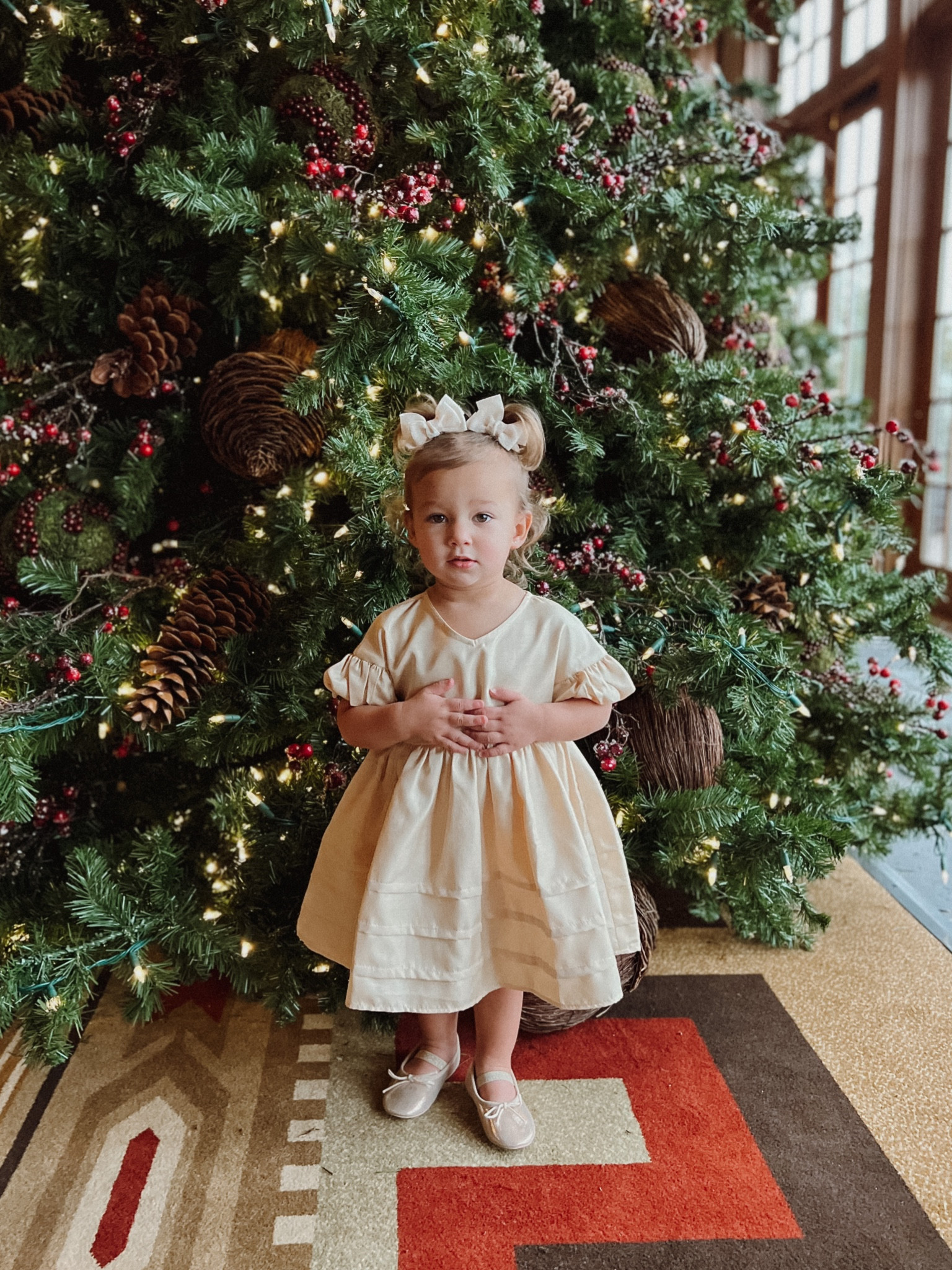 Tatum Blair’s outfit for her visit with Santa Claus! 
toddler girl holiday outfit // noralee // holiday dress // new years dress 

#LTKHoliday #LTKkids #LTKbaby