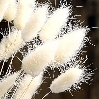 Color Life 110-120 Pcs Dried Natural Flowers Decoration |Pampas Grass, Dried Fox Tail, Rabbit Tai... | Amazon (US)