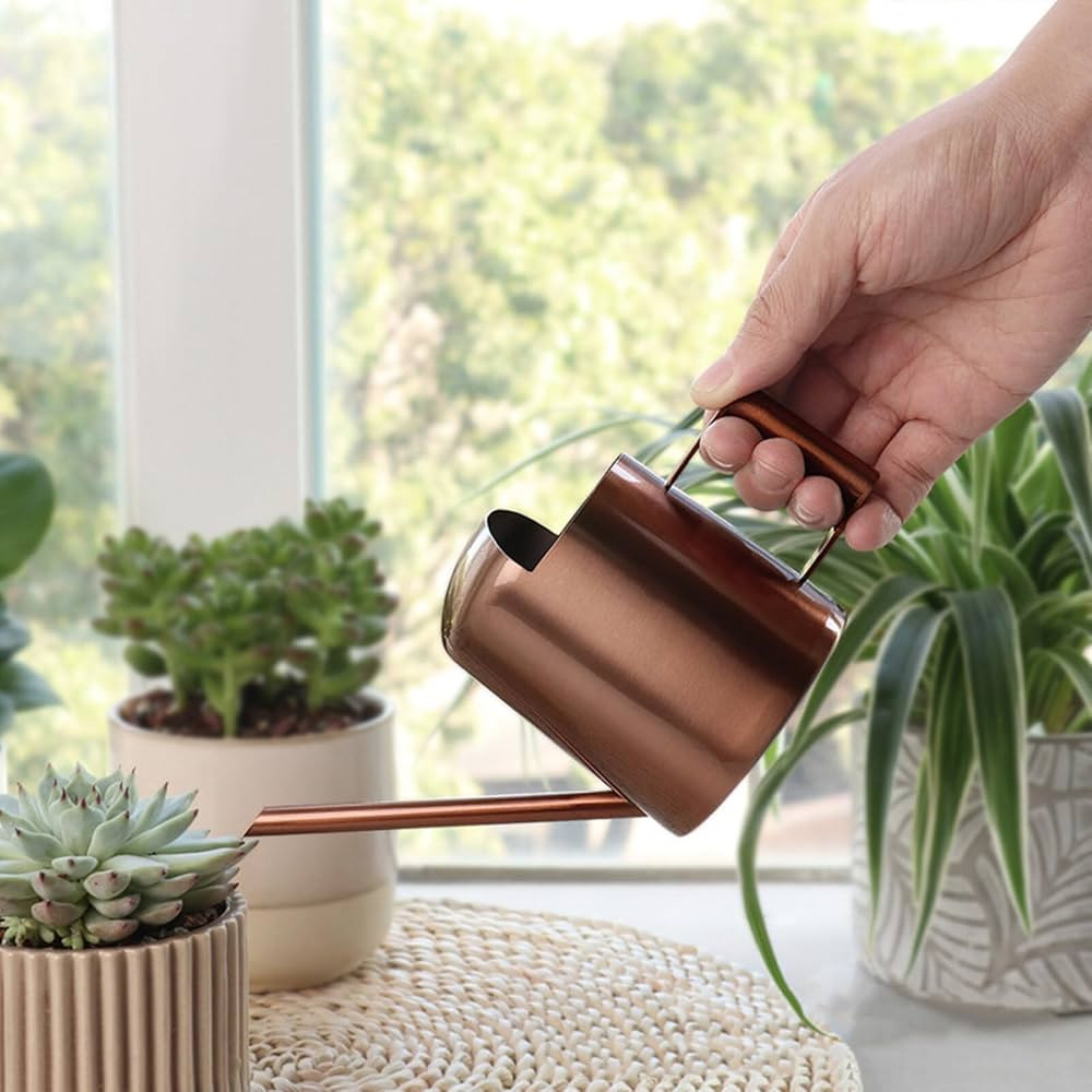 Mini Watering Can, Small Watering Can, Stainless Steel Watering Can with Long Spout, 10oz/300ml M... | Amazon (US)