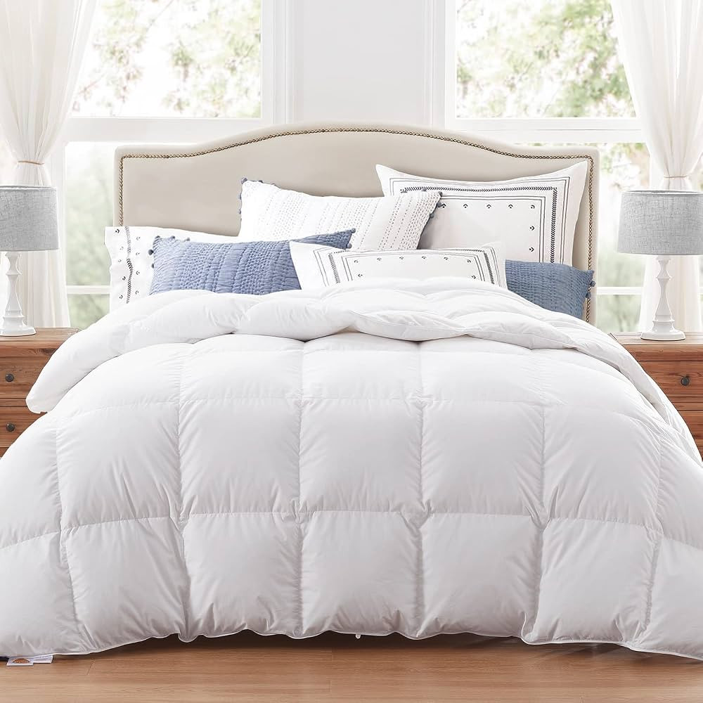 Globon Luxurious Feather Down Comforter Queen Size, Fluffy Hotel Collection Duvet Insert Medium W... | Amazon (US)