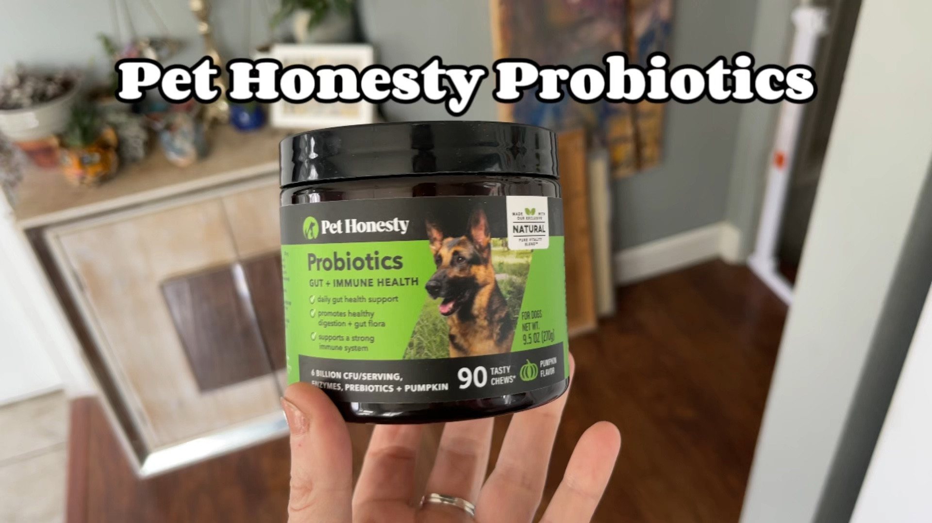 I’ve been adding these to the dogs’ dinner to help with their digestion! #pethonesty #probiotics #dogs #pets 

#LTKfamily #LTKVideo #LTKfindsunder50