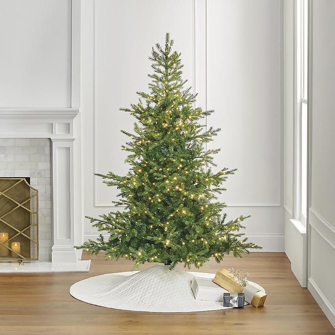 Grand Fir 7 ft. Tree | Frontgate | Frontgate