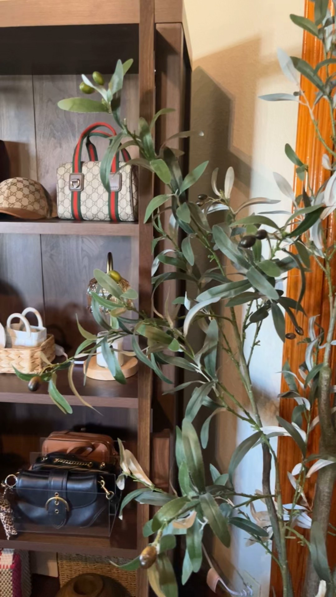 my “fun” closet 🩷

#LTKHome #LTKItBag