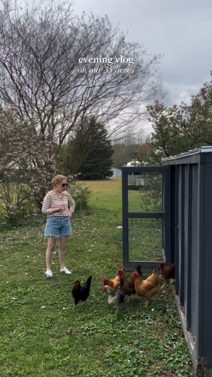 evening vlog! our nightly routine as a family of four living on a 35 acre farm. chicken happy hour is my favorite hour. we have three back to back @airbnb guests this week so squeezing in cleaning and preparing between the rest of life! we love being hosts!! thanks for watching! what are your favorite weeknight meal go tos? #ditl #eveningvlog #momsofgirls #countrylifestyle 

#LTKStyleTip #LTKHome #LTKOver40