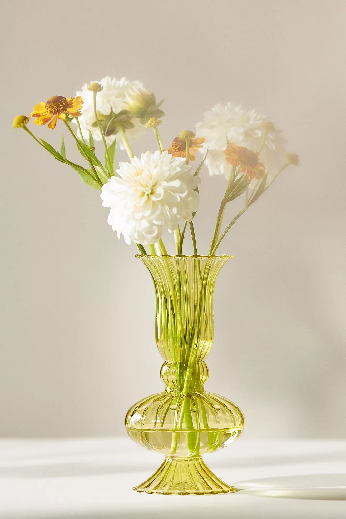 Venini Glass Vase | Anthropologie (US)