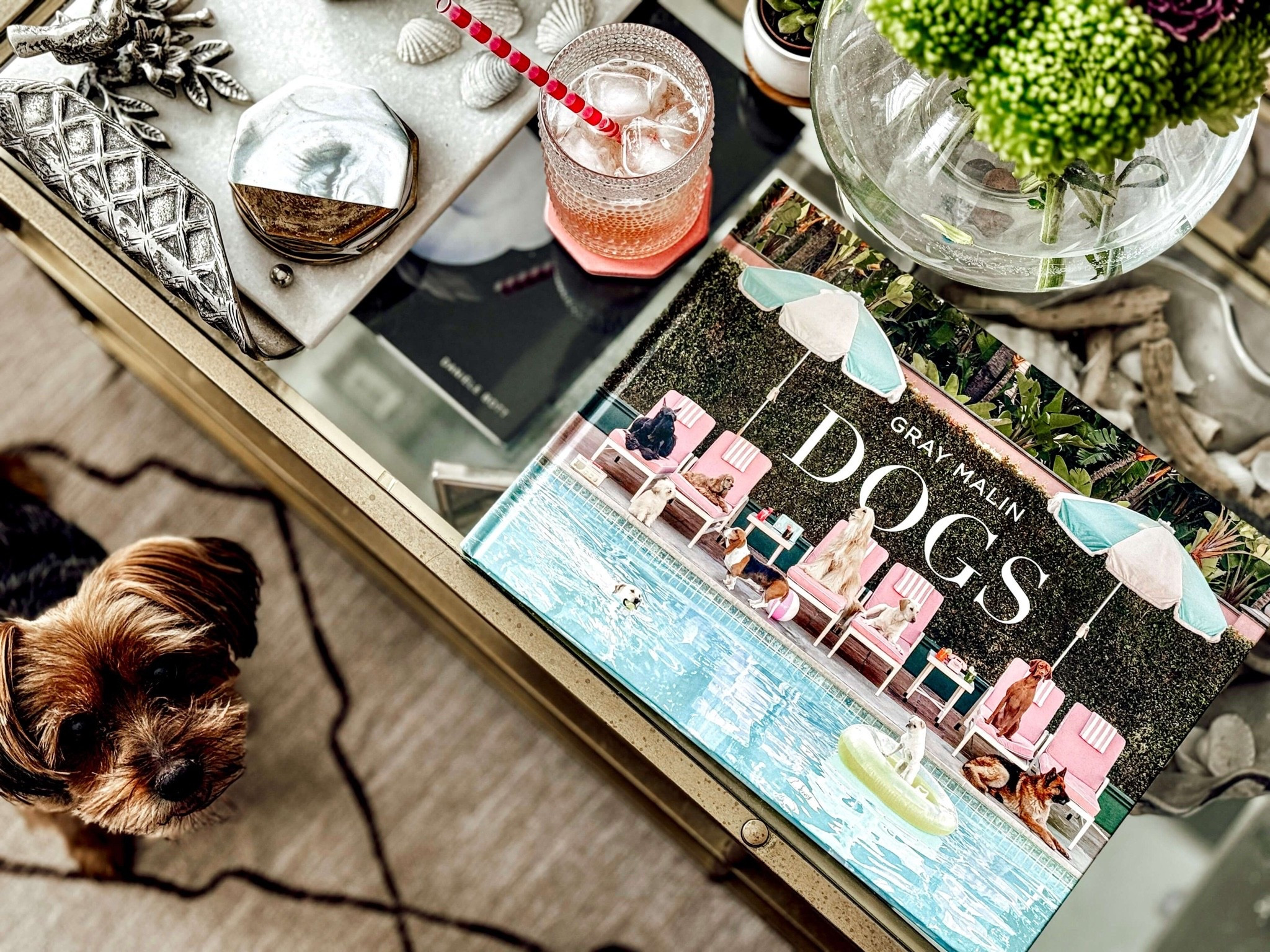 Apartment Therapy: Dog Themed Coffee Table Books for Dog Moms

Scroll to shop

#LTKPet

#LTKHome #LTKSeasonal #LTKSaleAlert