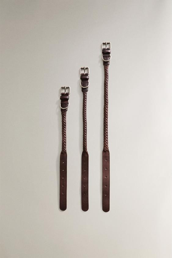 BRAIDED LEATHER DOG COLLAR | Zara US