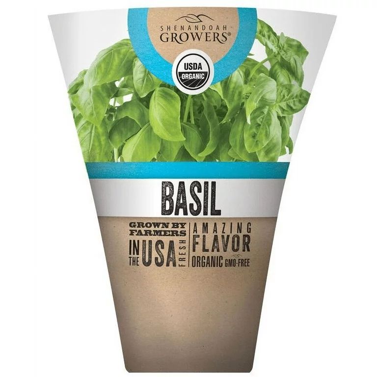 Shenandoah Growers Organic Fresh Potted Basil, 1 Each | Walmart (US)