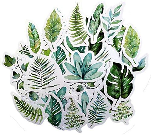 Beyong [45PCS] Beautiful Flowers Stickers, Watercolor Potted Plant and Floral Decals, for Phone, ... | Amazon (US)