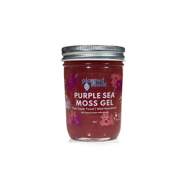Purple Sea Moss Gel - 8oz Jar | Planted Seeds