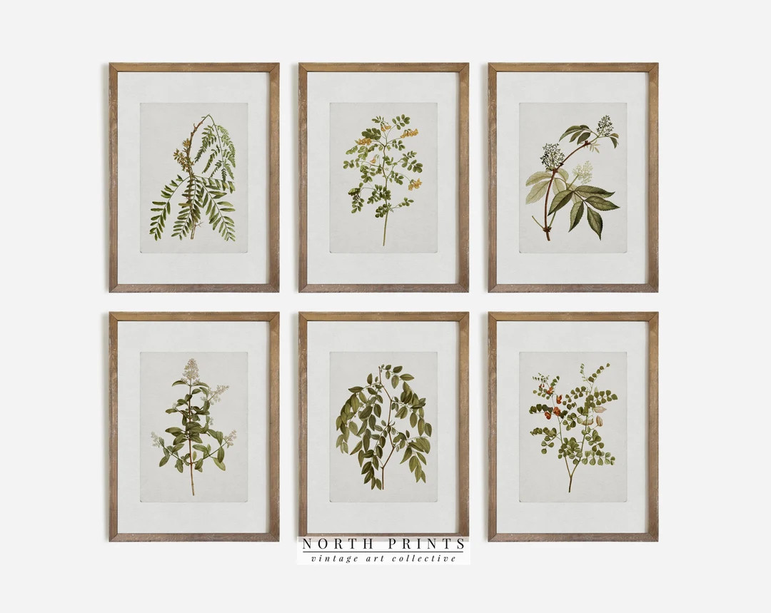 Vintage Botanical Gallery Wall Print SET | Rustic Wall Decor PRINTABLE Digital | North Print | S8... | Etsy (US)