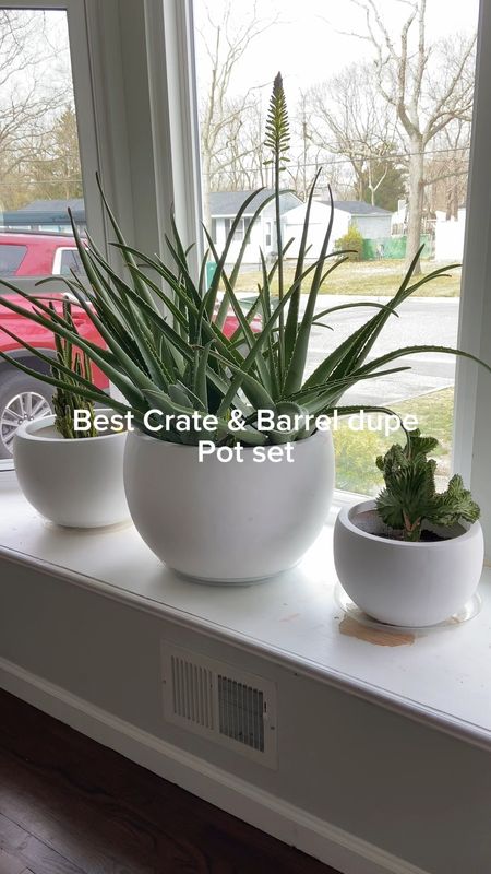 Crate & Barrel dupe at a fraction of the price!

I’ve owned this pot set for a year now and they have held up beautifully as well as provided a great home for my plants. Highly recommend.

#plantlover


#LTKSeasonal #LTKhome #LTKVideo