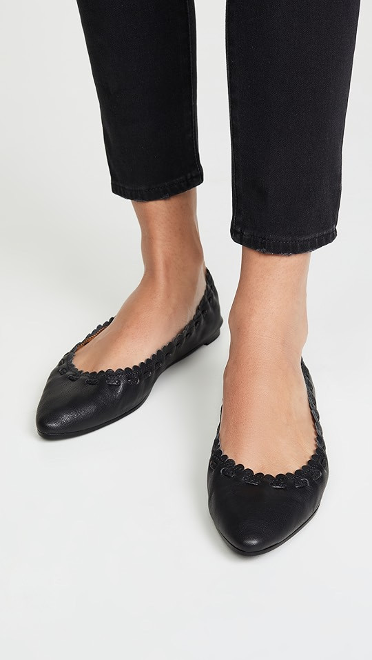 Jane Point Ballet Flats | Shopbop