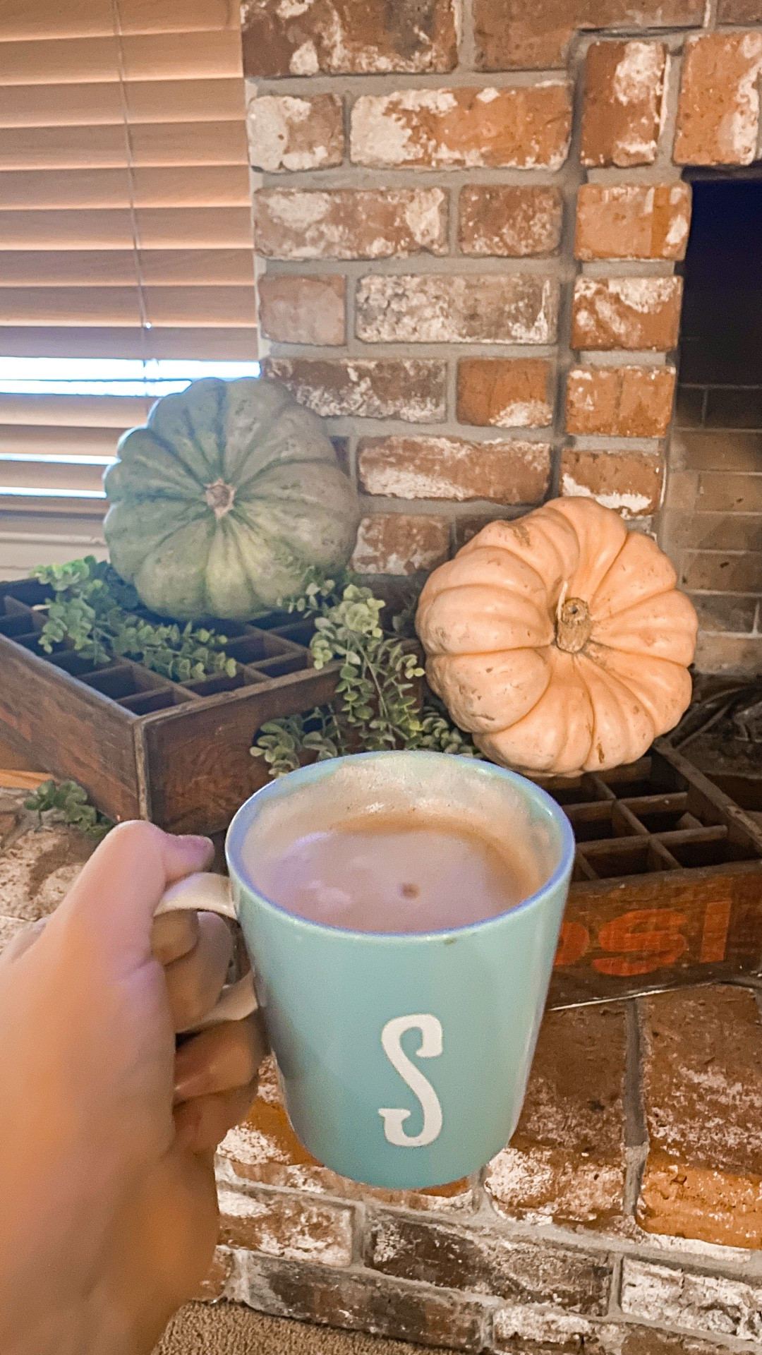✨ Homemade Pumpkin Spice Creamer
I’ve been making this recipe for over 5 years, and nothing beats the cozy, creamy flavor it gives my morning coffee. 🧡 It’s super easy, budget-friendly, and tastes so much better than store-bought!

Here’s what you need:
	•	1 can sweetened condensed milk
	•	1–1.5 cups milk of choice
	•	1 Tbsp vanilla (high quality if you can!)
	•	2 Tbsp pumpkin puree
	•	1 drop cinnamon essential oil or 1 tsp ground cinnamon
	•	1 drop nutmeg essential oil or 1 tsp ground nutmeg

👉 Tip: if essential oils feel too strong (especially nutmeg), just dip a toothpick into the oil and swirl it into your milk. It gives you the flavor without overpowering.

Mix it up, pour it into your favorite jar (I’m linking mine 💕), and enjoy fall in a cup. ☕🍂

Shop everything I used here ⬇️
#pumpkinspice #homemadecreamer #fallcoffee #fallrecipes #DIYcreamer #morningroutine #LTKrecipe #LTKfall

#LTKHome #LTKFindsUnder50 #LTKSeasonal