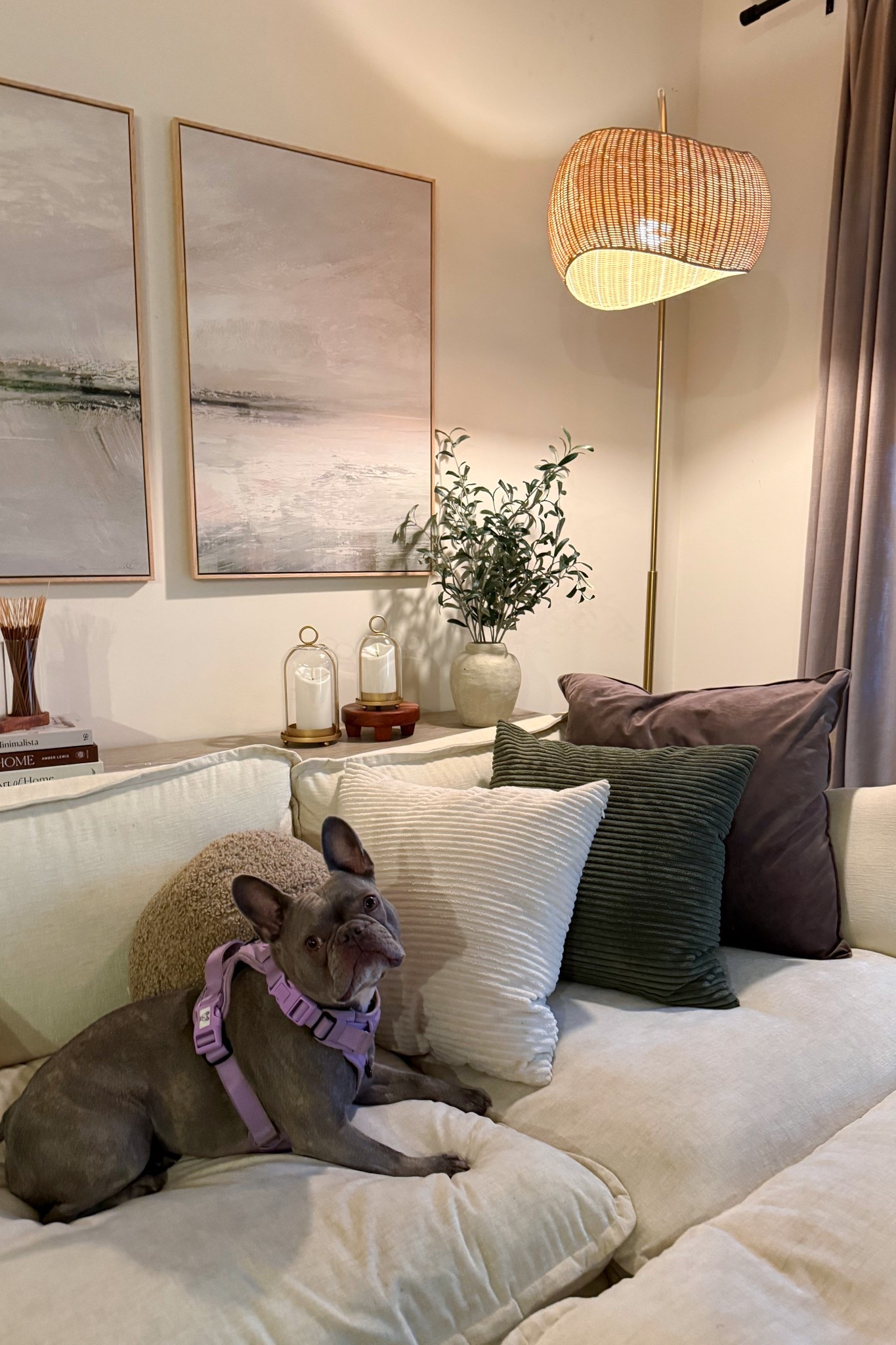 modern organic apartment, neutral living room, cozy home aesthetic, earthy tones decor, warm ambient lighting, soft neutral decor, calming home vibe, organic modern style, cozy apartment decor