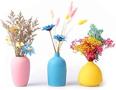 Small Ceramic Flower Vases for Décor, Modern Flower Vase Set of 3 for Home Living Room Table Cen... | Amazon (US)