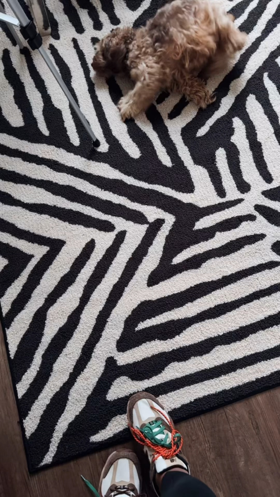 Rug for the office 

#LTKStyleTip #LTKHome