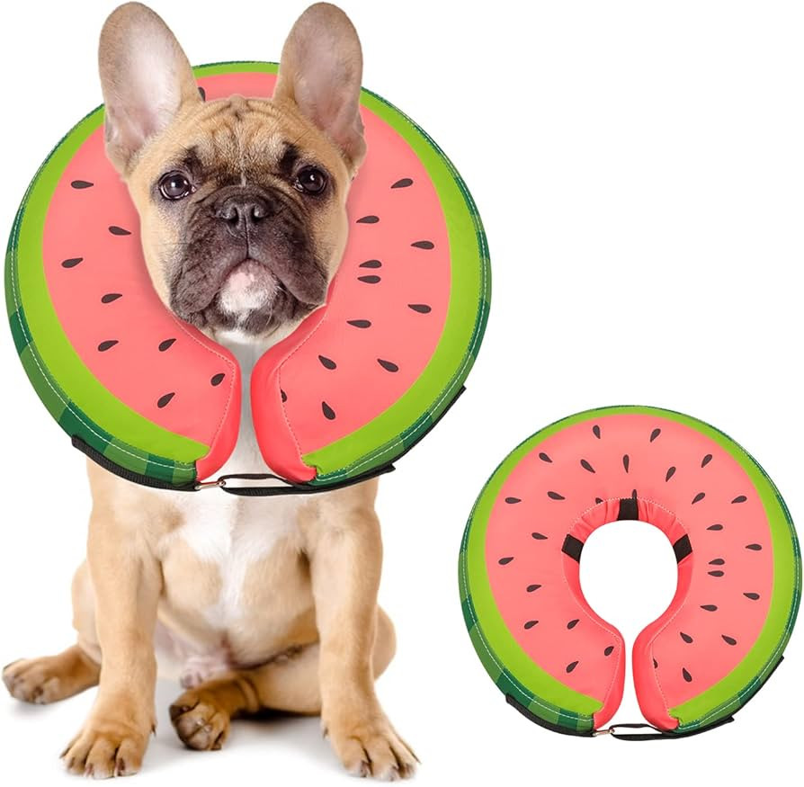 Dog Cone Collar for Small Medium Large Dogs for After Surgery, Pet Inflatable Neck Donut Collar S... | Amazon (US)