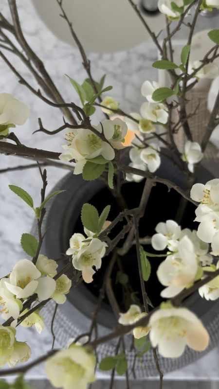 Blossoming blooming branches that are worth the splurge!  I used 3 in this vase

#LTKfindsunder100 #LTKhome #LTKSeasonal